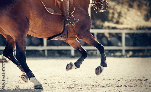 Equestrian sport. Legs of a galloping horse close-up.
