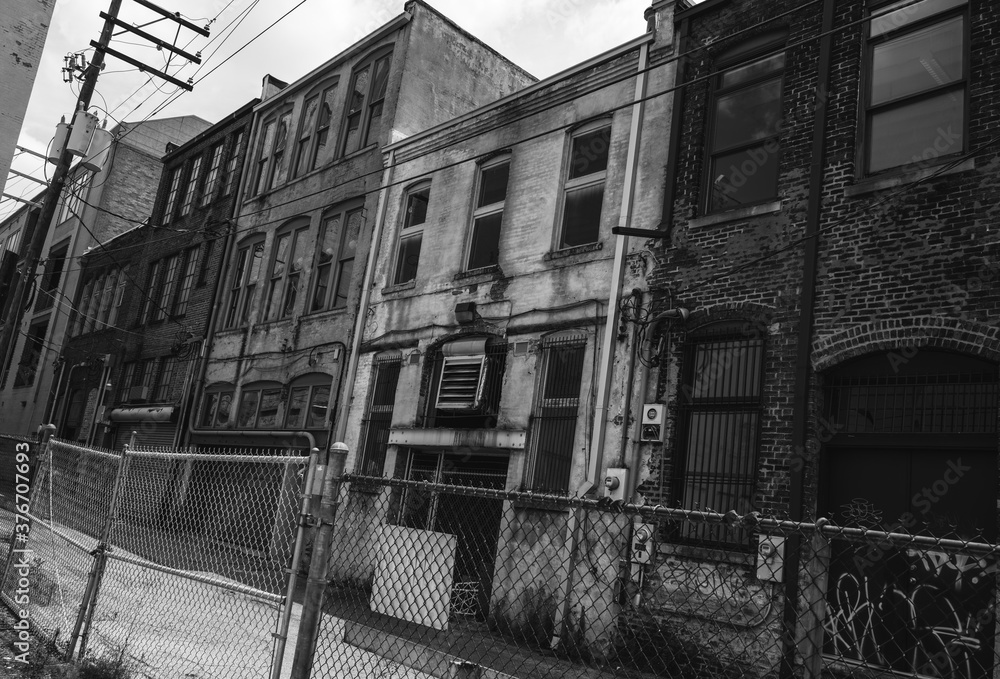 The Alley The Alley