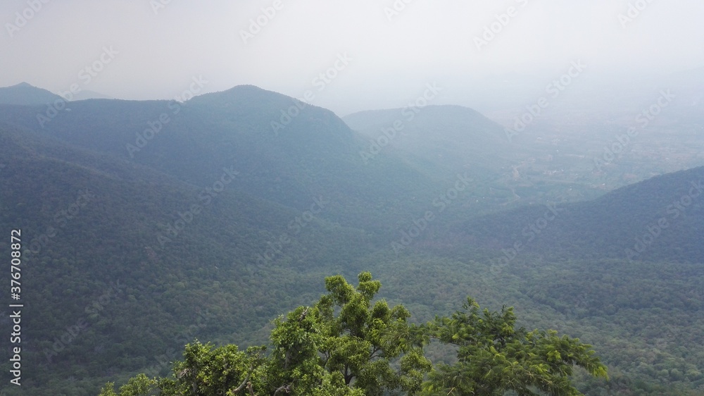 Fototapeta premium A day out at Yercaud