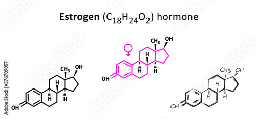 Estrogen estradiol structure C18H24O2 sex hormone formula cemical structure molecule Medical sign vector icons icon sign Structural formulas cell cells molecules atom atomic steroids steroid Female