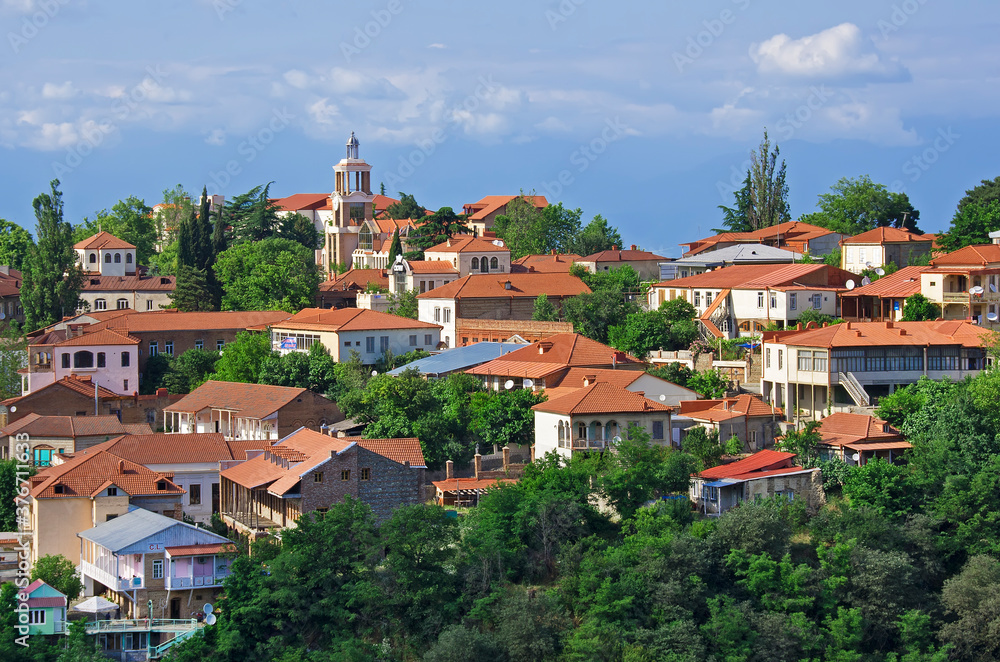 View on a Georgian town Signakhi