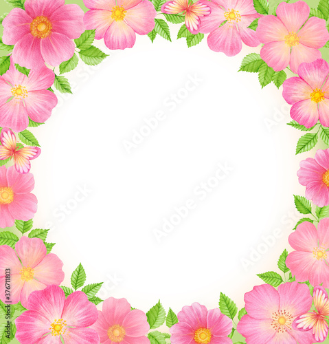 Wild rose flowers card template, Floral rectangular border frame. Watercolor  illustration. Hand drawn rose hip bouquets 