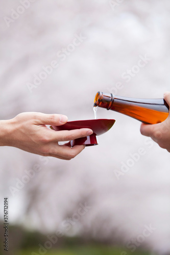 花見でお酒を注ぐ手元