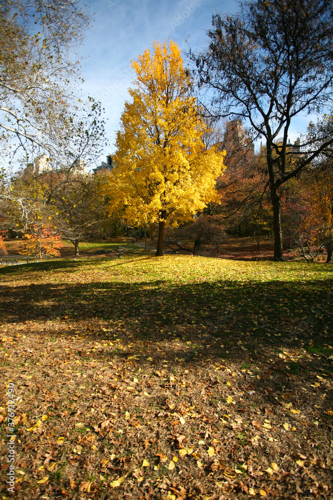 autumn in the park autumn in the park