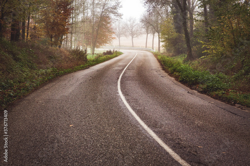 curvy road in beautiful foggy forest in autumn