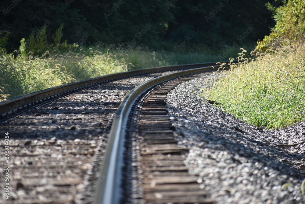 Fototapeta premium railroad tracks in the forest
