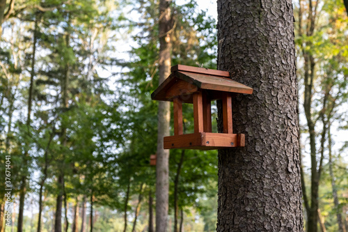 wooden bird house in the park 