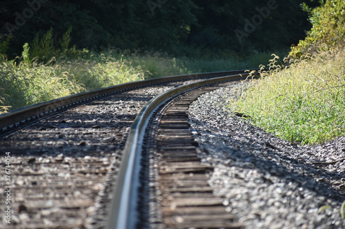 railroad tracks in the forest