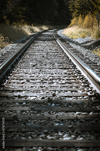 railroad tracks in the forest 