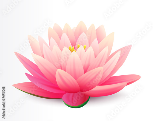 Beautiful realistic pink lotus flower isolated on white background, water plant, vector illustration. Flower for cosmetic products cover.