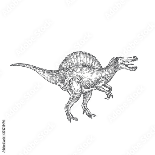 Prehistoric Dinosaur Doodle Vector Illustration. Hand Drawn Spinosaurus Reptile Engraving Style Drawing.