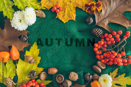autumn text on green cloth texture autumn leaves around