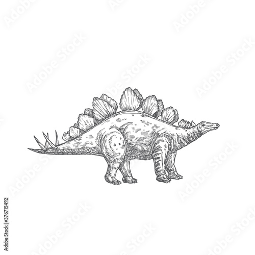 Prehistoric Dinosaur Doodle Vector Illustration. Hand Drawn Stegosaurus Reptile Engraving Style Drawing.