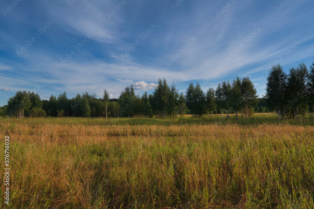 Summer landscape green meadow on a background of forest and cloudy sky. Summer landscape green meadow on a background of forest and cloudy sky.