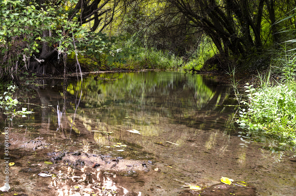 Reflejos en el río
Reflejos en el río