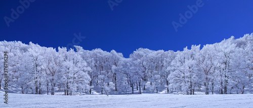 蔵王の雪景色（パノラマ）