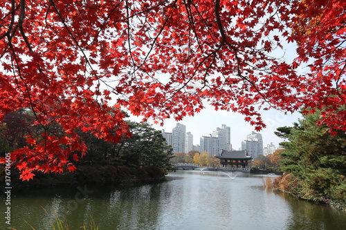 분당 중앙공원 photo