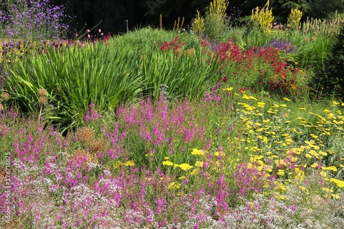 Photography Flowering plants in Kew Gardens