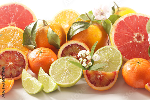 Fototapeta Naklejka Na Ścianę i Meble -  citrus fruit collection- lemon,orange, grapefruit