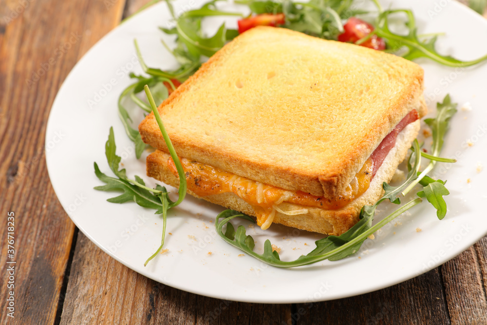 croque-monsieur- grilled toast with ham and cheese croque-monsieur- grilled toast with ham and cheese