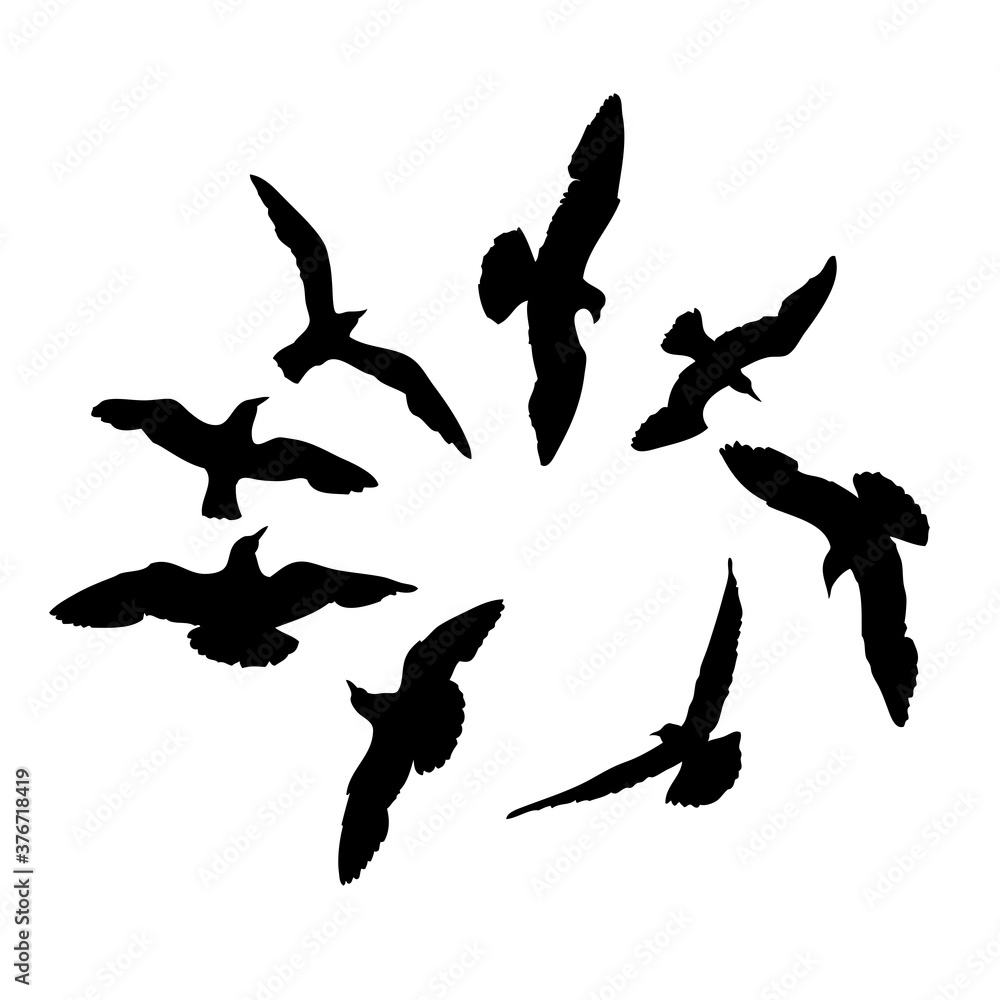 Obraz premium Set of seagulls birds, nautical sailor tattoo sketch. Black stroke of flying sea gull silhouettes on white background. Marine set. Drawings of different shapes of water birds in the flock. Vector.