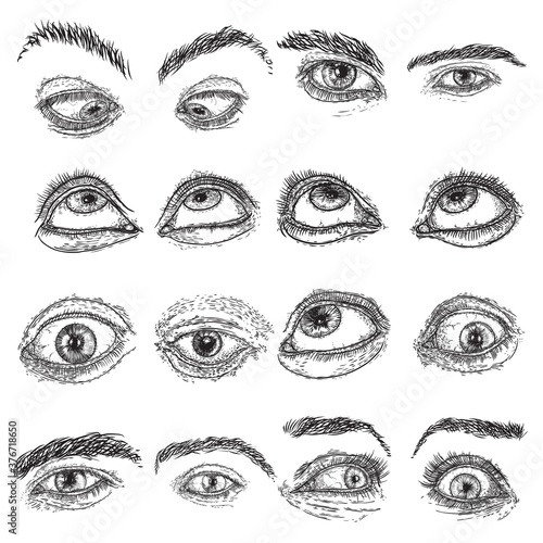 Expressive eye and brow with lashes image set with different mood and directions. Design element for vision or character design. Hand drawing for studio salon or tattoo design. Vector.