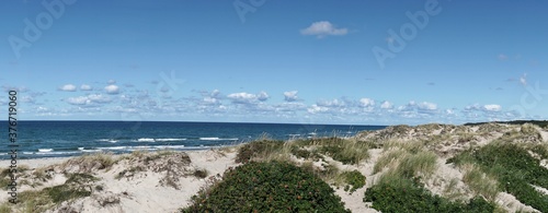 Dünenlandschaft  zwischen Liseleje Strand und Tisvildelje Strand, Seeland, Dänemark,