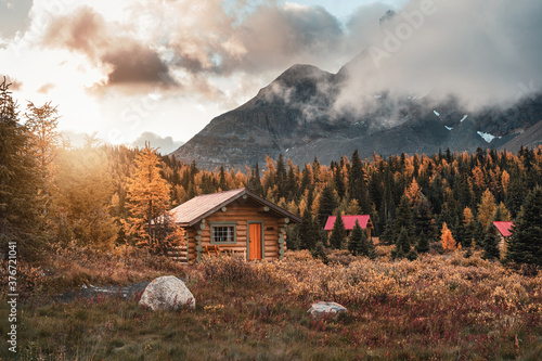 Wooden huts with sunshine in autumn forest at Assiniboine provincial park