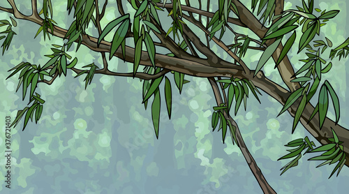 drawn tree branch with green leaves on forest background