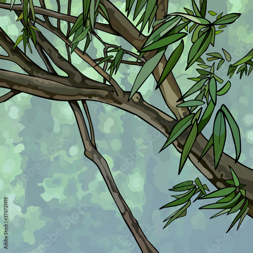 drawn tree trunk with green leaves on forest background