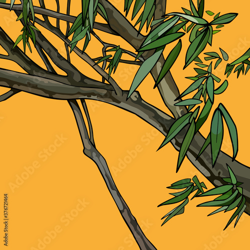 drawn tree trunk with green leaves on yellow background