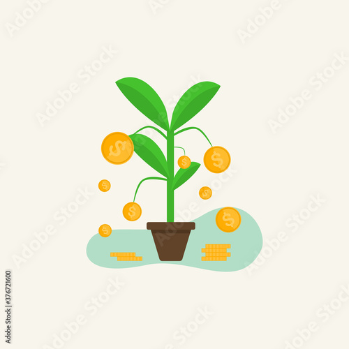 Potted plants fruit out into coin money  flat design style  money growth concept from savings.