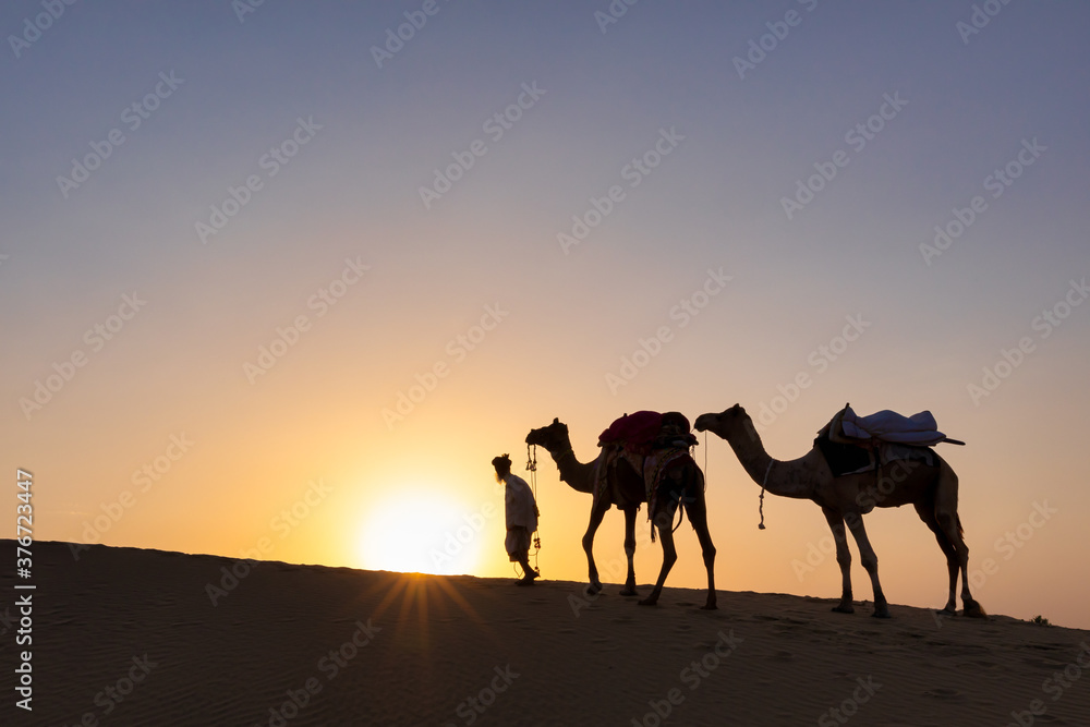 Silhouette of man walking with his camels, Thar desert, Rajasthan, India Silhouette of man walking with his camels, Thar desert, Rajasthan, India