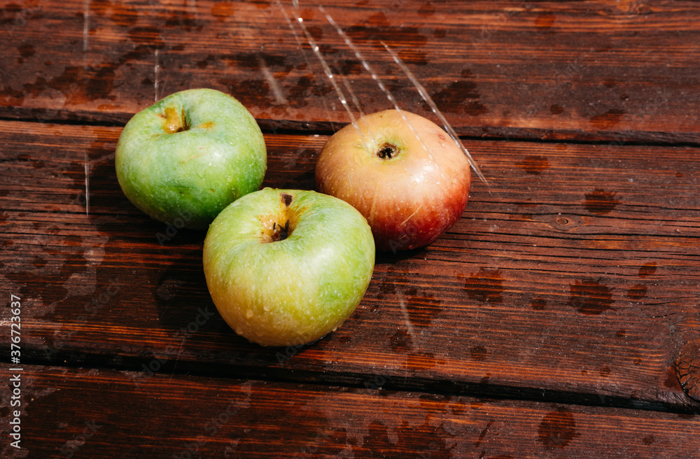 Splashes of clean water pour over freshly picked apples of the autumn harvest. Red and green apples lie on the mahogany wooden kitchen table, and water drips from the top. Splashes of clean water pour over freshly picked apples of the autumn harvest. Red and green apples lie on the mahogany wooden kitchen table, and water drips from the top.