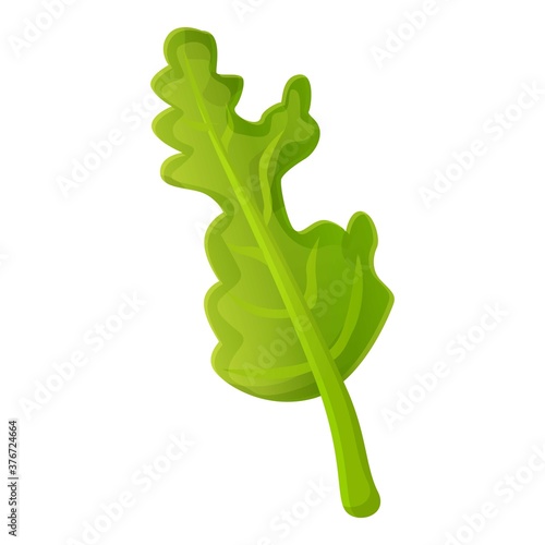 Botany arugula icon. Cartoon of botany arugula vector icon for web design isolated on white background
