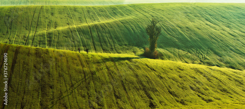 Tourist enjoys the rural landscape. Hills and farmland