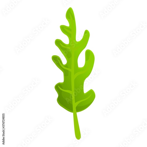 Healthy arugula icon. Cartoon of healthy arugula vector icon for web design isolated on white background