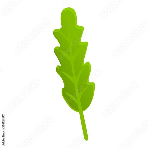 Ruccola icon. Cartoon of ruccola vector icon for web design isolated on white background