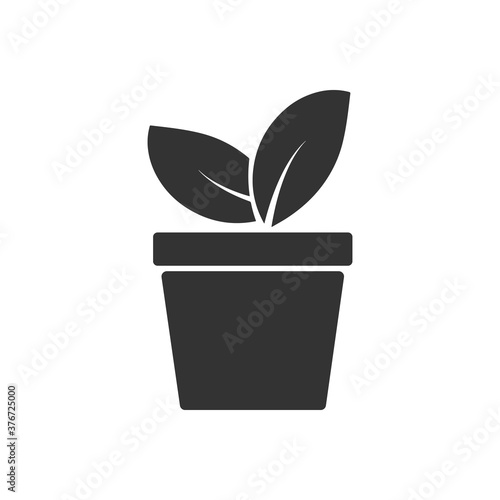 Plant in flower pot icon vector photo