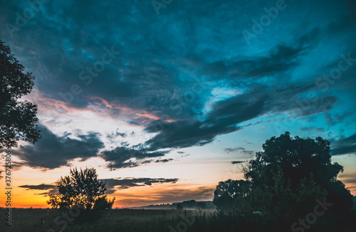 sunset over the forest