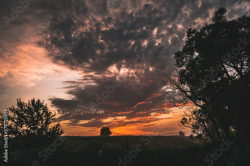sunrise over the field