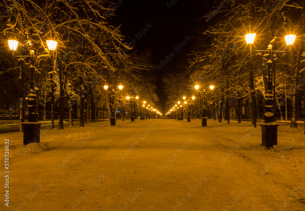 winter night park