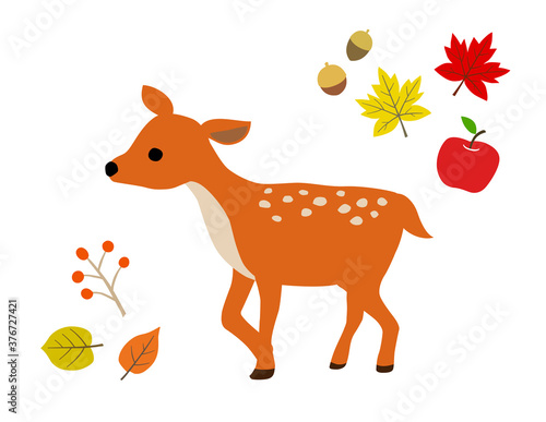 子鹿と秋の紅葉　イラストセット