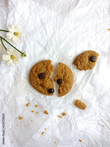brown soft cookies with chocochips topping. cookies on the white background