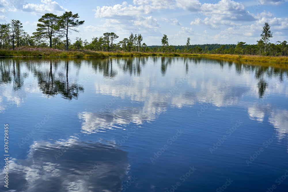 Fototapeta premium Reflection of trees and clouds in water