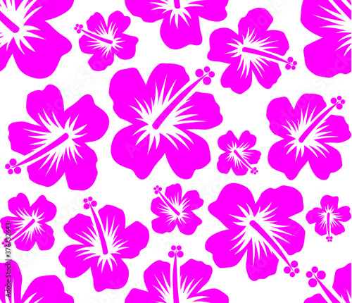 Vector illustration of the hibiscus Hawaii flower seamless pattern