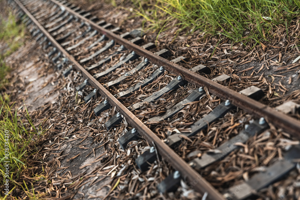 Fototapeta premium Small abandoned train tracks are a game for children.