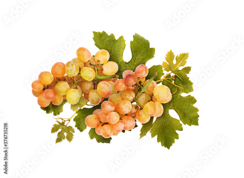 Bunch of grapes with green ...