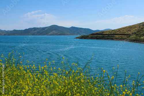 stunning shot of yellow flowers and deep blue water and mountain ranges at Diamond Valley Lake in Hemet California photo