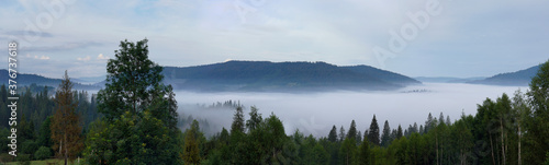 Panoramic shot of morning fog covered Carpathian mountains in Ukraine © Ayman Alakhras